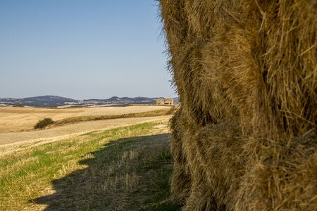 Paesaggio di campagna in Toscanaの写真素材