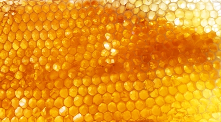 Honeycomb