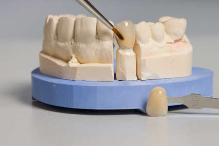 close up of painting work at artificial dentition with a paintbrush in a dental laboratoryの写真素材