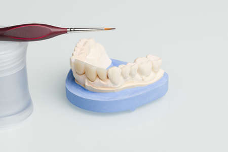 Close up of tools for painting work on artificial dentition and dental imprint in a dental laboratoryの写真素材