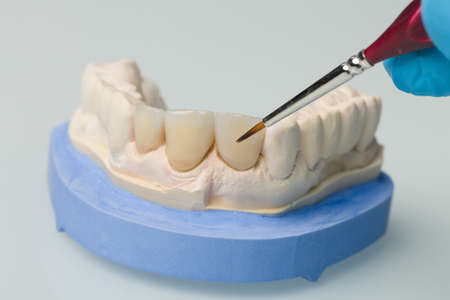 Close up of tools for painting work on artificial dentition and dental imprint in a dental...