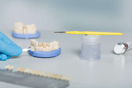 Close up of tools for painting work on artificial dentition and dental imprint in a dental laboratoryの写真素材