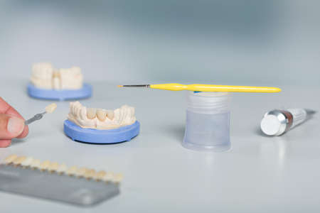 Close up of tools for painting work on artificial dentition and dental imprint in a dental...