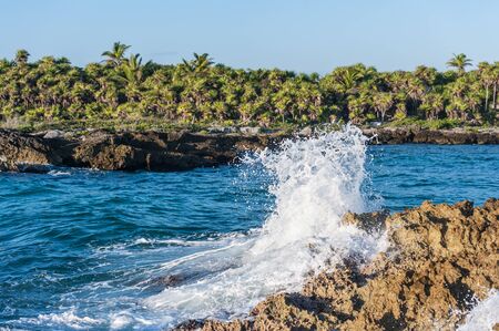 Caribbean sea waves crashing onto the iron shore of tropical coastline in Mexico. Deserted Riviera Maya landscape with rough rocks, lush green palm trees and the ocean water.の写真素材