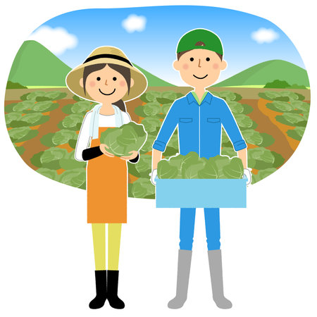It is an illustration of a man and a woman harvesting cabbage.のイラスト素材