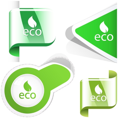 Set of natural elements for design.のイラスト素材