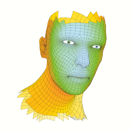 Head of the Person from a 3d Grid. Human Head Wire Model. Human Polygon Head. Face Scanning. View of Human Head. 3D Geometric Face Design. 3d Polygonal Covering Skin. Geometry Polygon Man Portrait.のイラスト素材