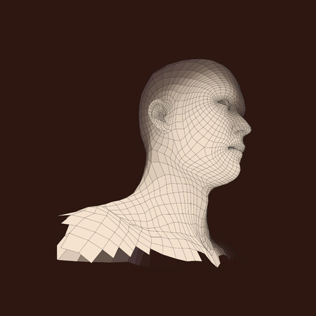 Head of the Person from a 3d Grid. Human Head Wire Model. Human Polygon Head. Face Scanning. View of Human Head. 3D Geometric Face Design. 3d Polygonal Covering Skin. Geometry Polygon Man Portrait.のイラスト素材