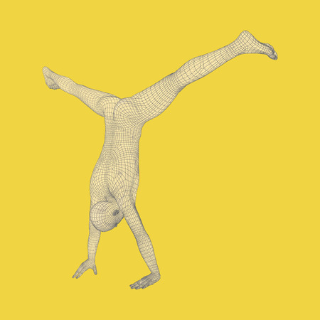 Sporty man doing handstand exercise. Gymnast. 3D model of man. Human body model. Gymnastics...