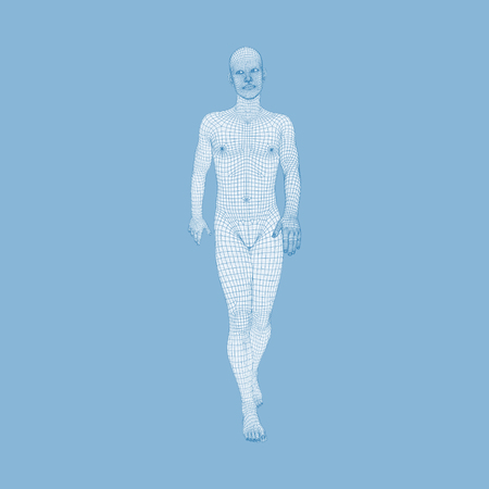 Walking Man. 3D Human Body Model. Geometric Design. Human Body Wire Model.  Vector Illustration.のイラスト素材