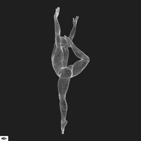 Gymnast. Man. 3D Model of Man. Human Body Model. Gymnastics Activities for Icon Health and Fitness Community. Vector Illustration.のイラスト素材