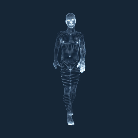 Walking Man. 3D Human Body Model. Geometric Design. Vector Illustration.のイラスト素材