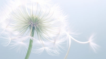 One dandelion with fluffy seeds. Generative AI. Illustration for cover, card, postcard, interior design, decor, packaging, invitations or print.の素材