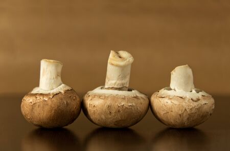 Studio shot of three brown mushrooms in a rowの写真素材