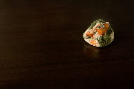 Single mouldy clementine, mandarin - on dark backgroundの写真素材