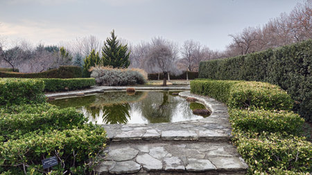 Landscape view of a garden with pond, trees and bushes.の写真素材