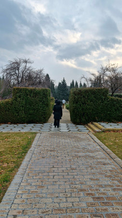 Man walking in the park on a cloudy winter day with trees in the backgroundの写真素材