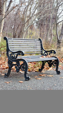 Bench in a park in autumn, closeup of photo with shallow depth of fieldの写真素材