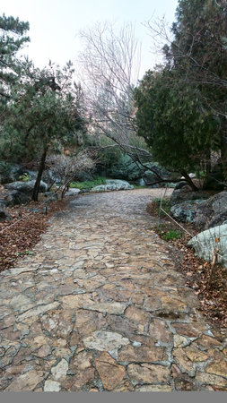 Stone pathway in the park with trees and bushes on the sides.の写真素材