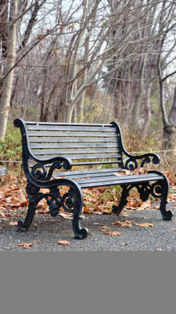 Bench in the park, autumn season, nobody, close-upの写真素材