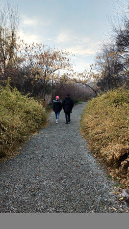 Couple walking on a path in the autumn forest. Walk in the parkの写真素材