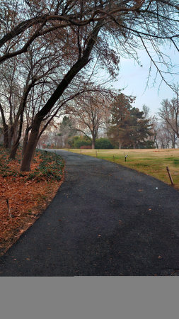 Path in the park in the early morning. Beautiful autumn landscape.の写真素材