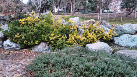 Beautiful landscaped park in the city of Jerusalemの写真素材
