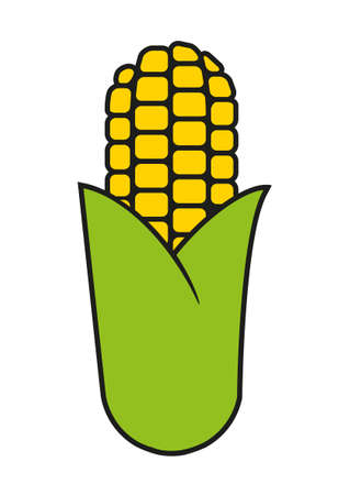 Corn on the cob emerging from the leavesのイラスト素材