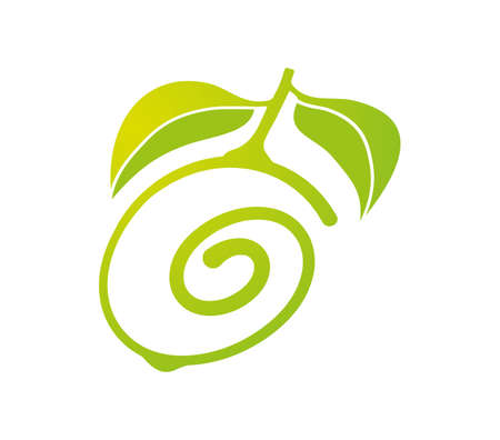 Hand drawn lime with leavesのイラスト素材