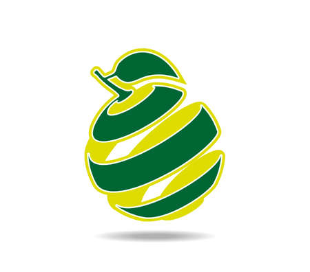 Peeled lime fruit with a leaf. Peeled lime peelのイラスト素材