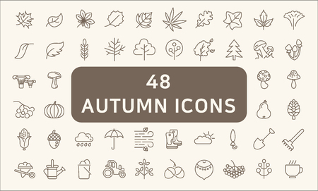 Set Of 48 Autumn Outline Iconsのイラスト素材