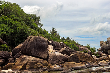 jungle, rocks and beachの写真素材