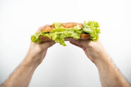 image of hands holding fresh sandwich with salad leaf on isolated white backgroundの写真素材
