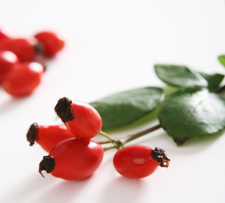 red fruits on white backgroundの写真素材