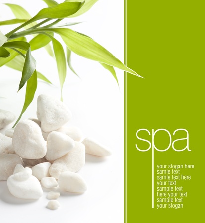 White stones  Space for textの写真素材