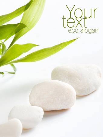 White stones  Space for textの写真素材