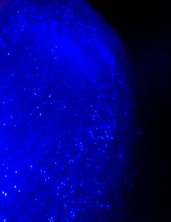 Abstract blue, radial backgroundの写真素材