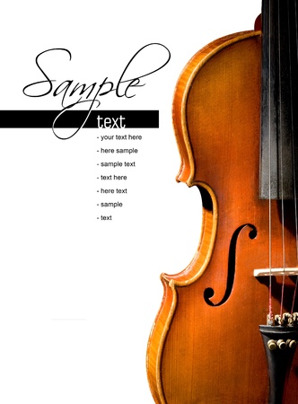 Violin on white background  Space for text on whiteの写真素材