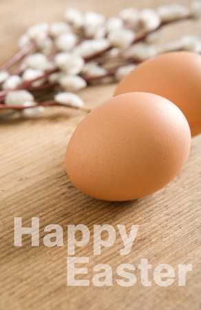 Easter greetings card  Eggs and catkins on wooden tableの写真素材