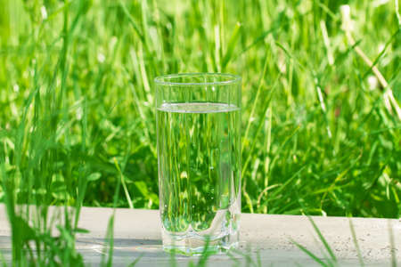 glass of water on a background of green grassの写真素材