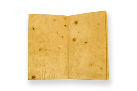 open old vintage book isolated on white background. Two clean sheet of paper.の写真素材