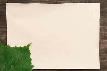 sheet old vintage paper with a grape leaf on aged wooden background. Healthy vegetarian food. Recipe, menu, mock up, cooking.の写真素材