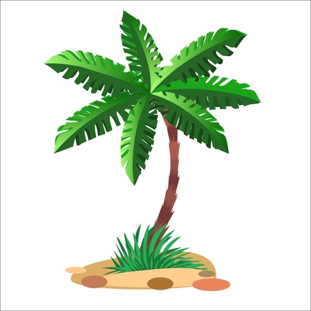 Green palm tree on a sandy soil and a neutral backgroundのイラスト素材
