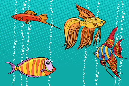 Set collection of aquarium fish. Pop art retro vector illustrationの写真素材
