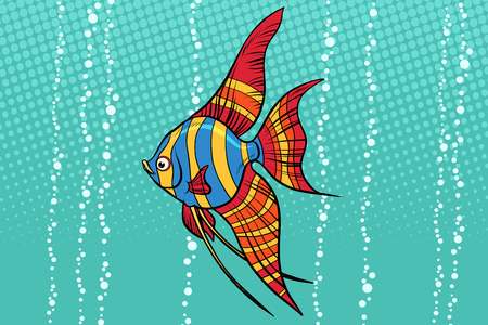 Freshwater angelfish aquarium fish. Pop art retro vector illustration.のイラスト素材