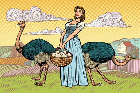ostrich farm eggs. woman peasant farmer. Pop art retro vector illustration vintage kitschのイラスト素材
