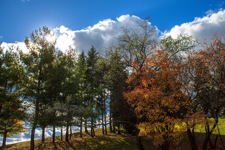 Autumn day in a city park.の写真素材