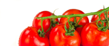 bunch of tomatoesの写真素材