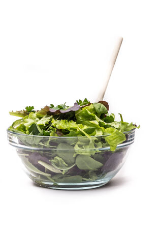 Green Salad with arugulaの写真素材