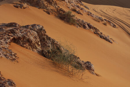 Desert Hill